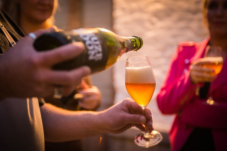 Food, Gastronomy & Beer
