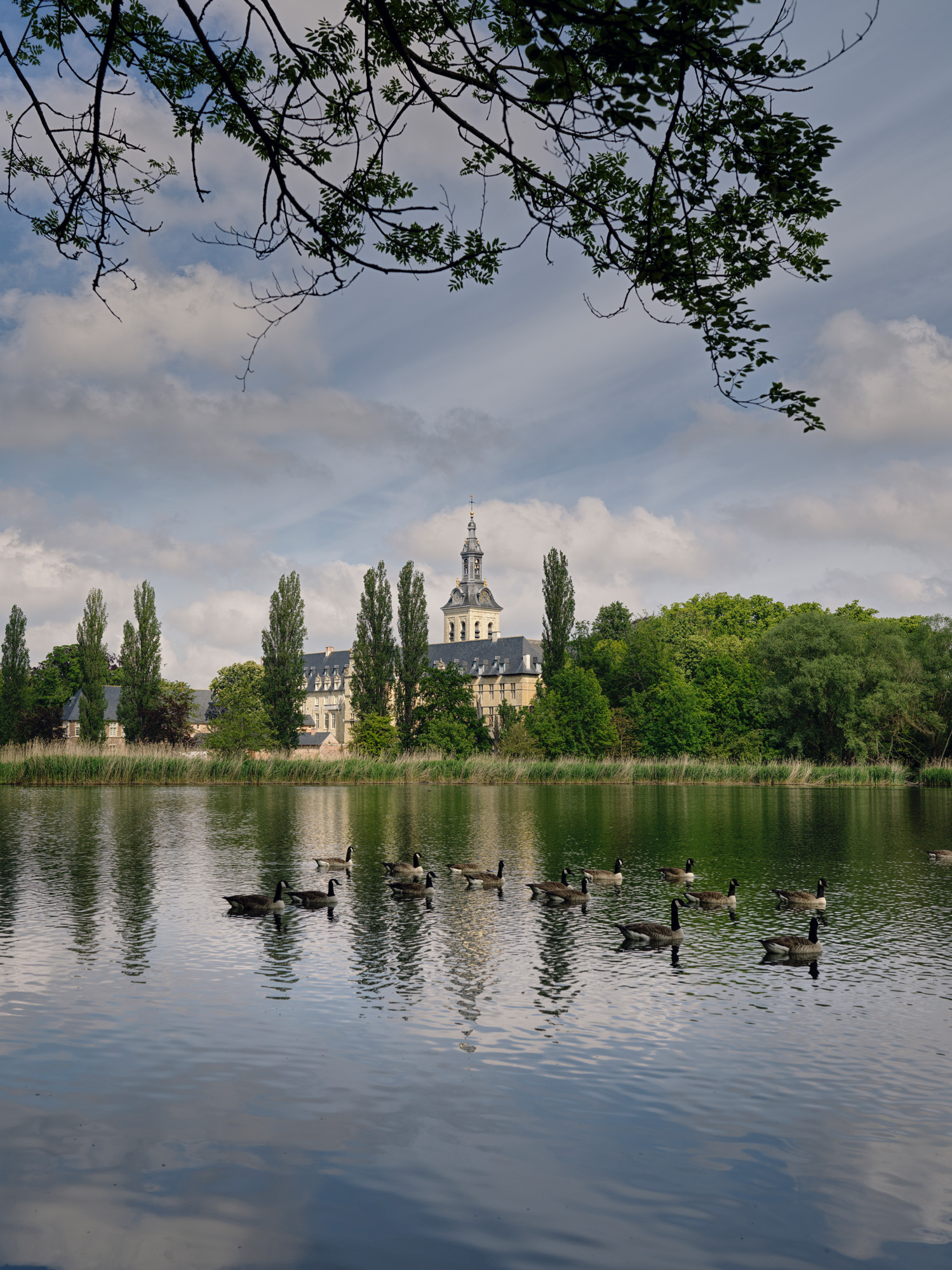 Park Abbey - (c) Cedric Verhelst