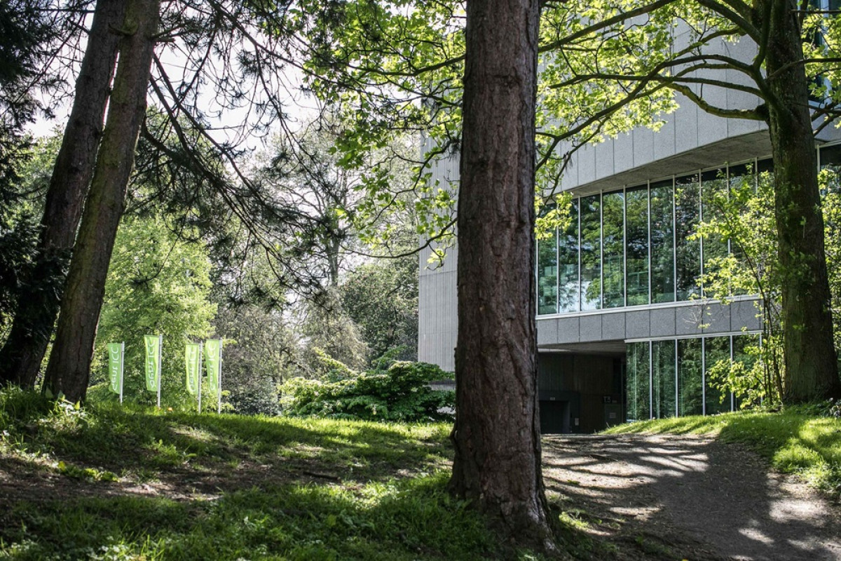 Wooded path by modern glass building Path through a wooded park leading to a modern building with tall glass windows in sunlight